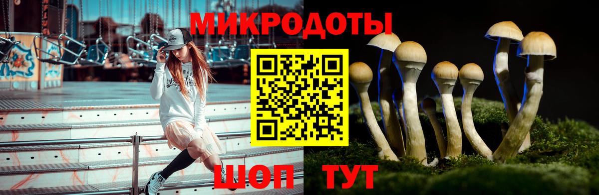Стрежевой  Псилоцибиновые грибы мицелий  Вход с VPN 